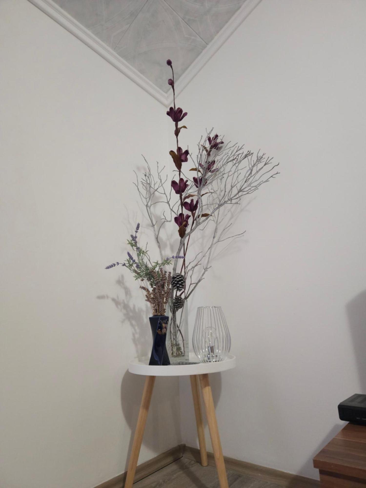 Apartments Rustika Toscana Водице Екстер'єр фото